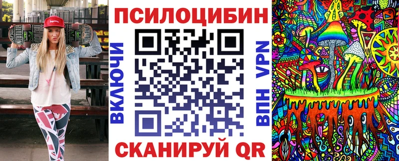 как найти закладки  Сергач  Псилоцибиновые грибы прущие грибы 
