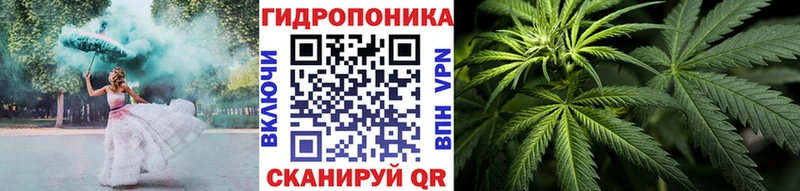 Бошки марихуана OG Kush  кракен   Сергач  наркота 